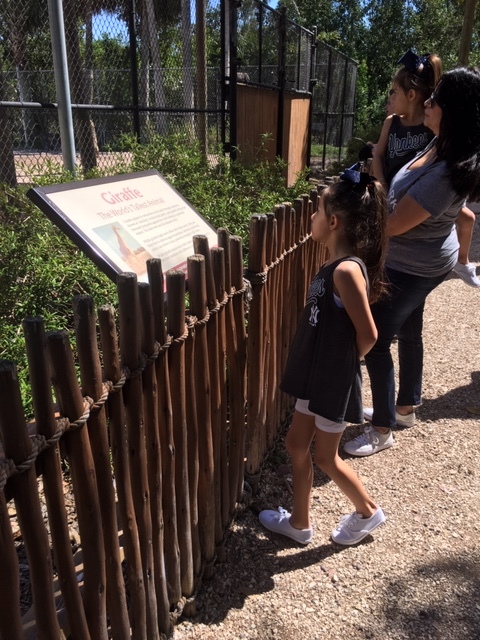 Not Without My Coffee- Naples Zoo 18.JPG