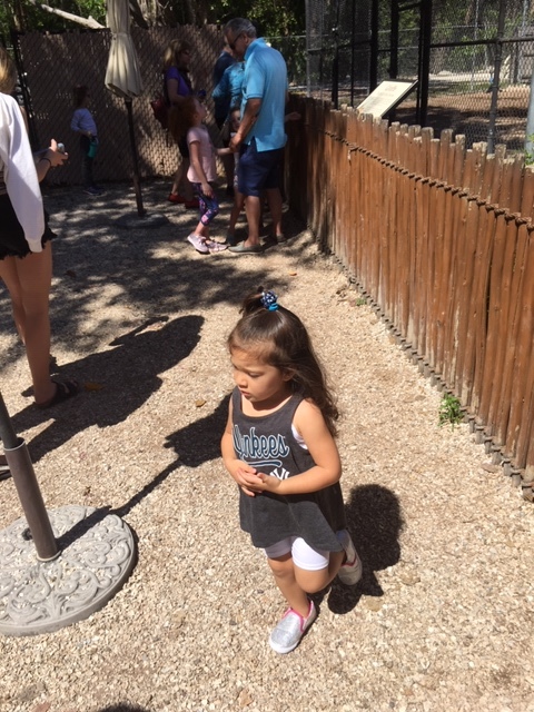 Not Without My Coffee- Naples Zoo 22.JPG