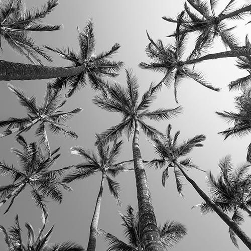The Pros and Cons of Living In Florida