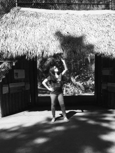 A Day at the Naples Zoo